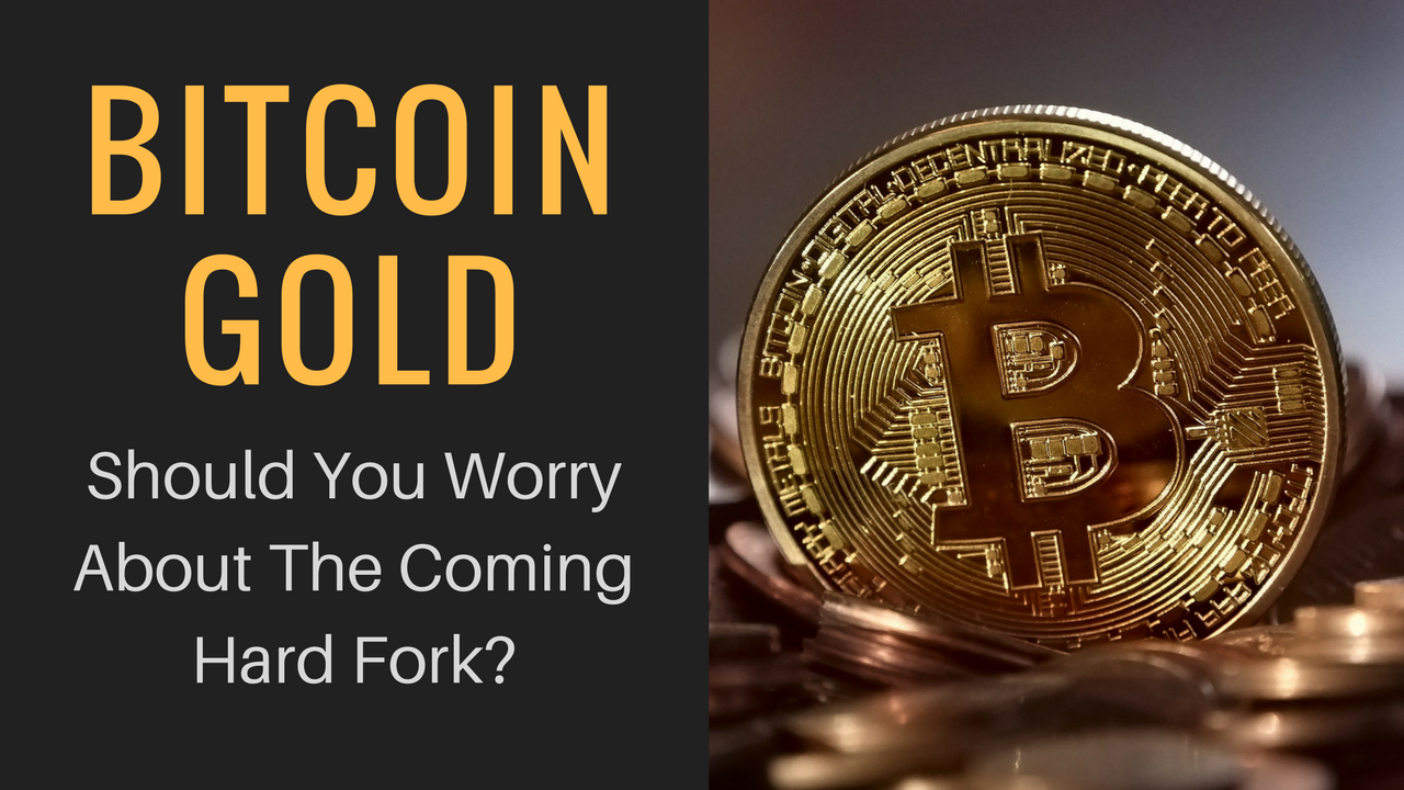 Bitcoin Gold Should Yo!   u Worry About The Coming Hard Fork Steemit - 